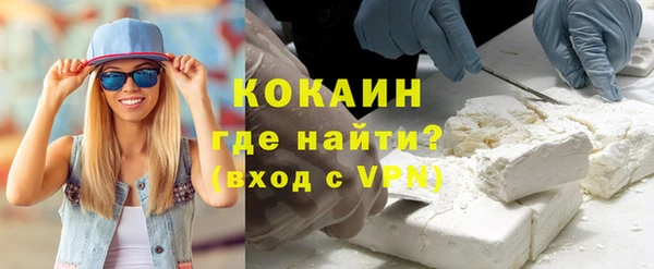 гашик Горняк