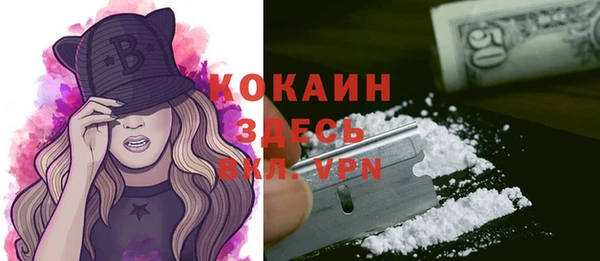 первитин Гусев