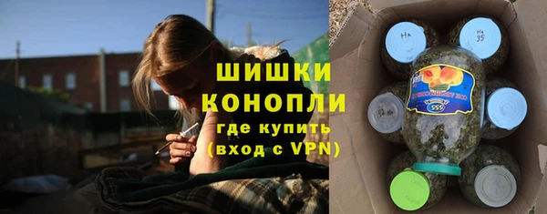 первитин Гусев