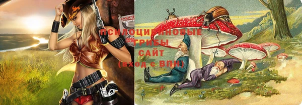 jwh Гусиноозёрск