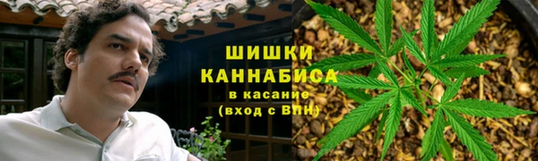 первитин Гусев